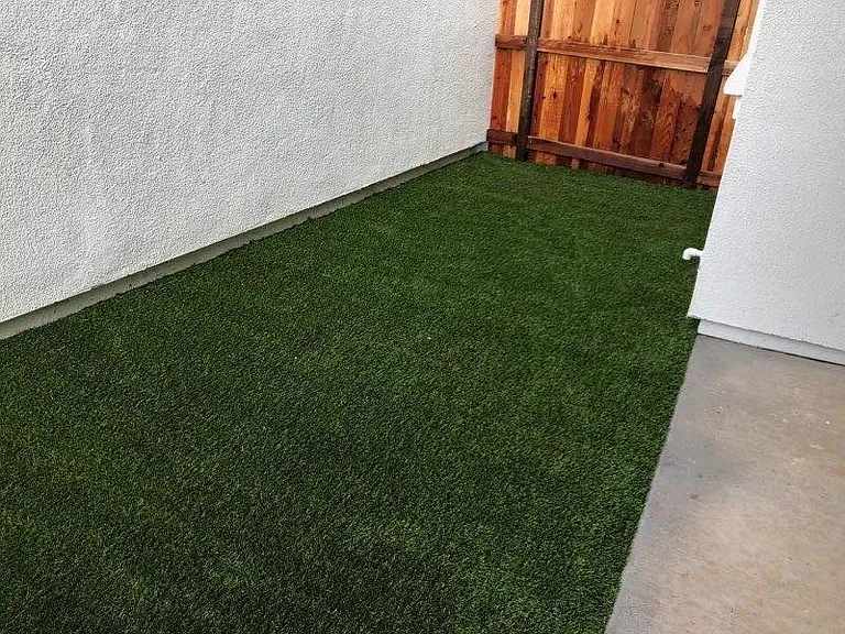 Patio/Side yard (synthetic lawn)