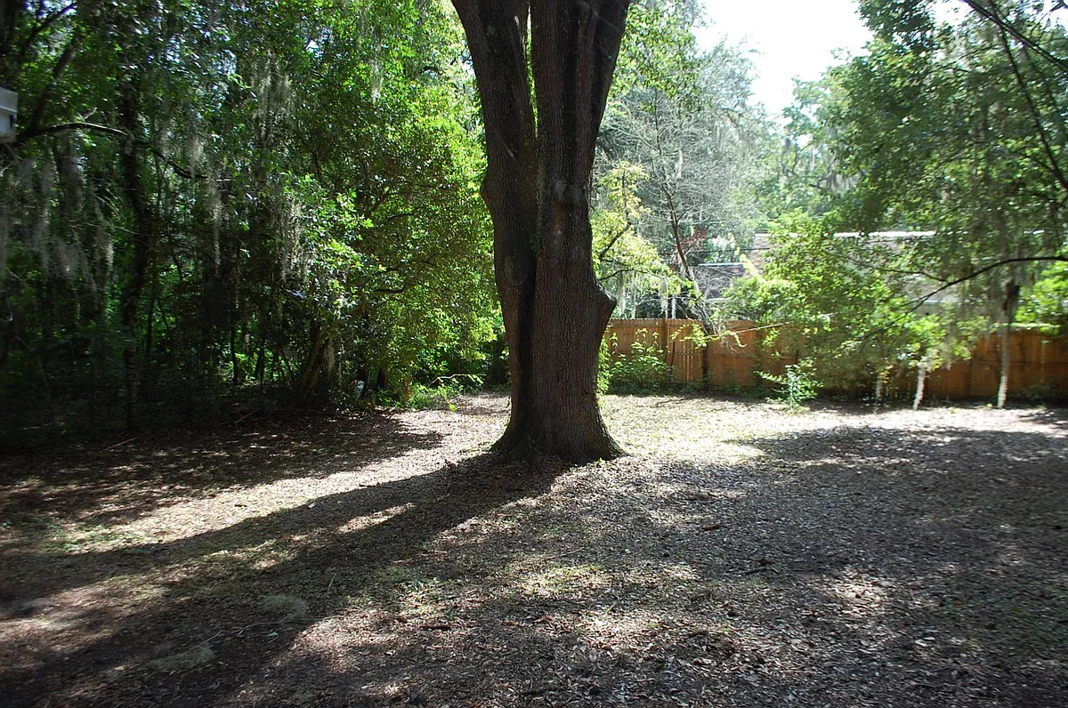 Large Back yard - 211 NW 25th St