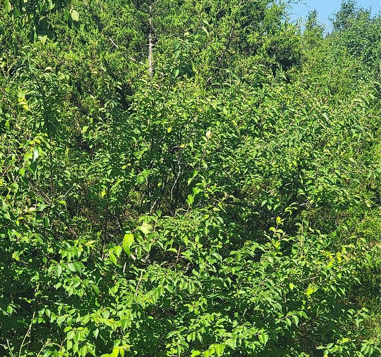 1st image of 5060 Fox Creek Rd