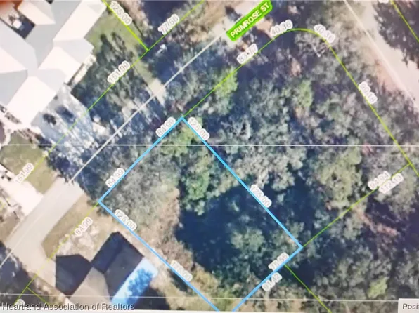 921 Primrose St, Lake Placid, FL 33852