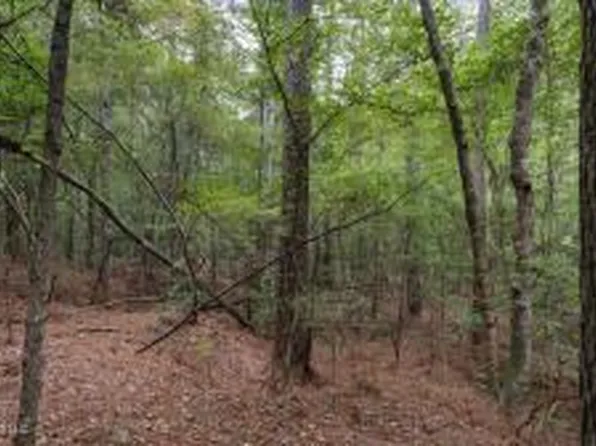 633 Lowhead Dam Rd, Lena, MS 39094