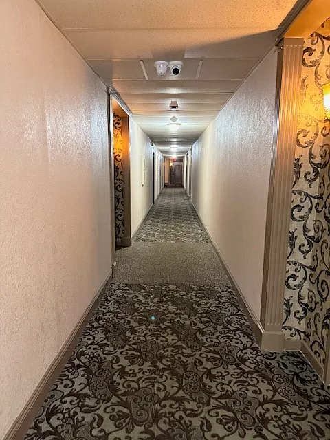Studio, 650 sqft, $1,799 — Photo 3