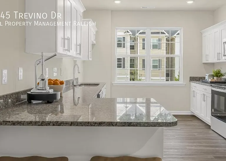 4145 Trevino Dr — Photo 3