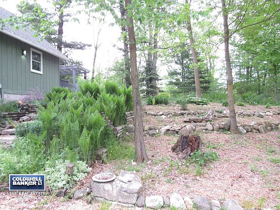 Wooded acreage