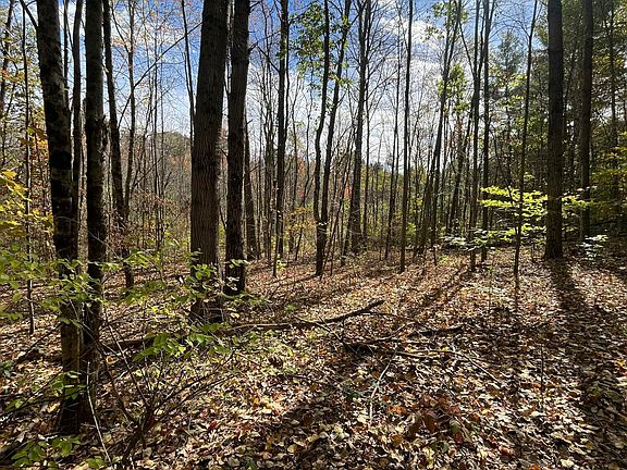 3rd image of L5.2 Warner Road