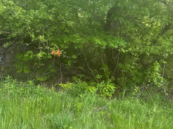 Lot 5 Unionville Road, Steuben, ME 04680