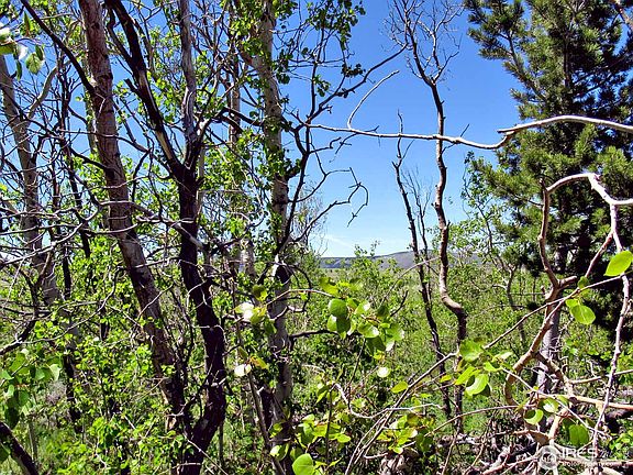 4th image of Tbd Sand Creek Park