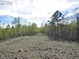581 Yorktown Dr, Cripple Creek, CO 80813