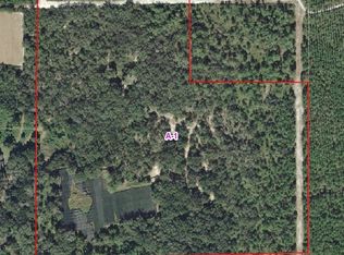 Smith Rd, Seville, FL 32190