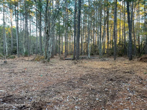 530 Firetower Road, Beaufort, NC 28516