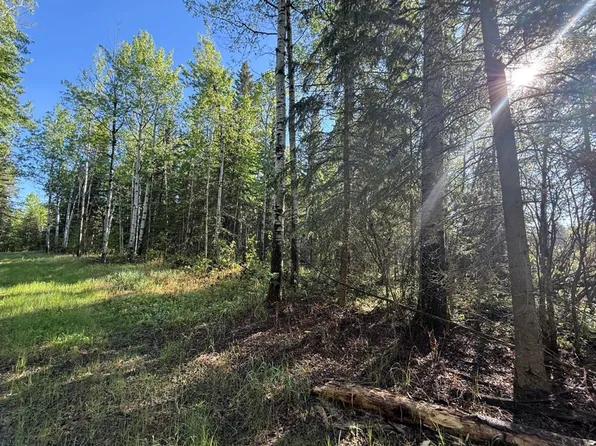 Township Road 640, Athabasca County, AB T0G 1T0