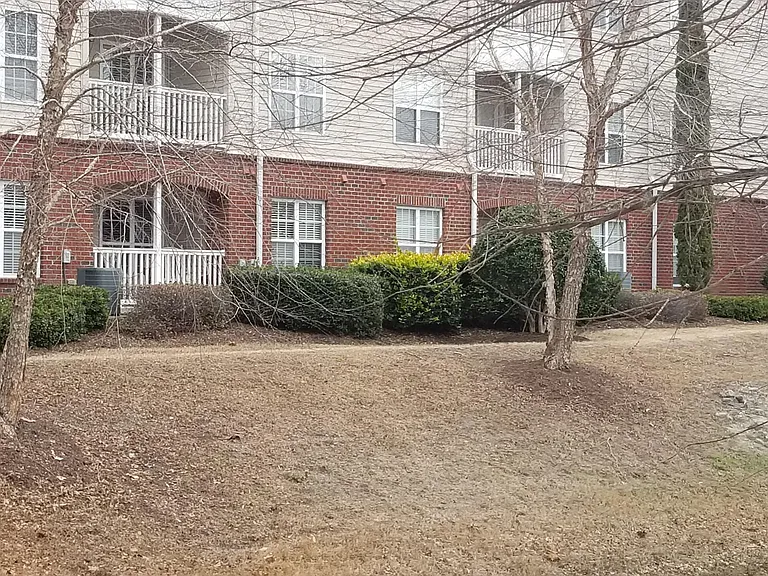 Rear yard space
