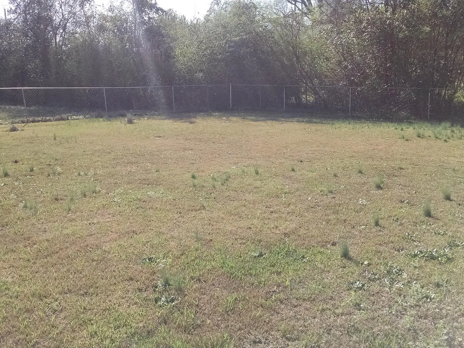 3 bed, 1.5 bath, 900 sqft, $975 — Photo 4