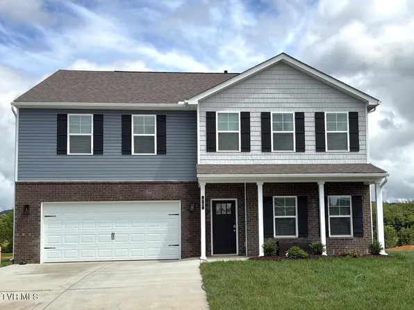 72 Ollie St, Johnson City, TN 37615