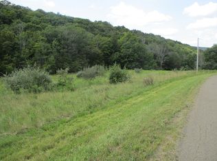 161 Lewis Rd, Pine City, NY 14871