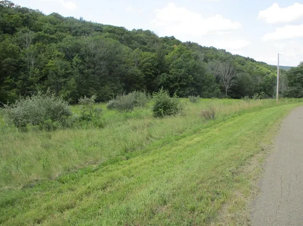 161 Lewis Rd, Pine City, NY 14871