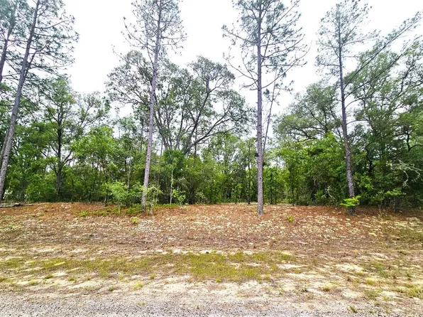 576 E Nemo Dr Lot 4, Dunnellon, FL 34434