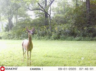937 Luray Rd, Nickelsville, VA 24271