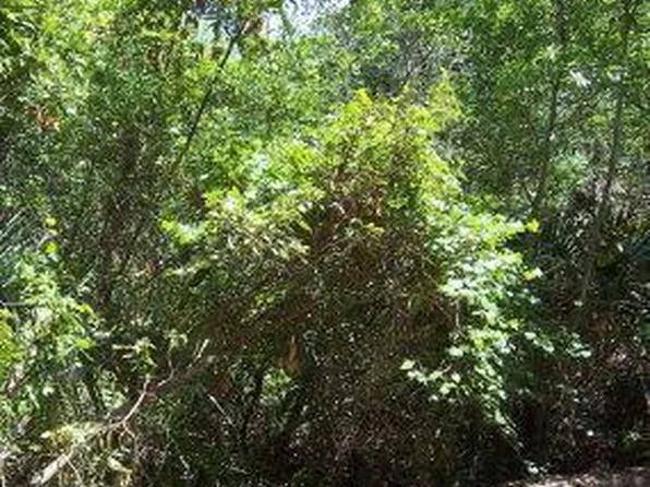 126 Edward Teach, Bald Head Island, NC 28461