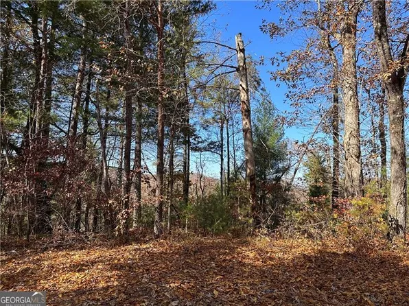 1689 Shade Tree Dr, Ranger, GA 30734