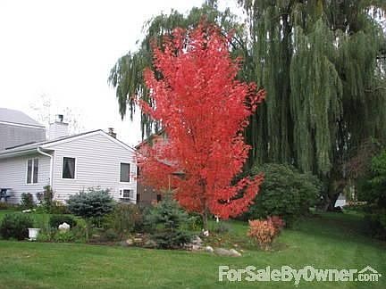 From West view to back of House : Landscaped Sunset Garden with Glider
