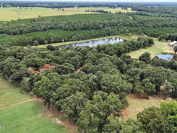 4th image of 14.8 Acres Country Oak Cir