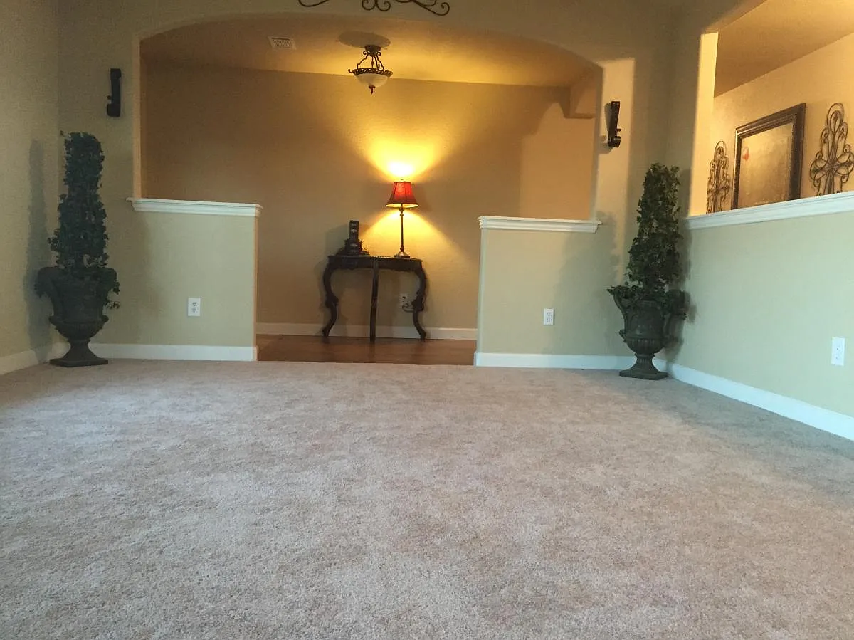 320 W Wild Horse — Photo 4