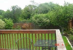 View from Deck