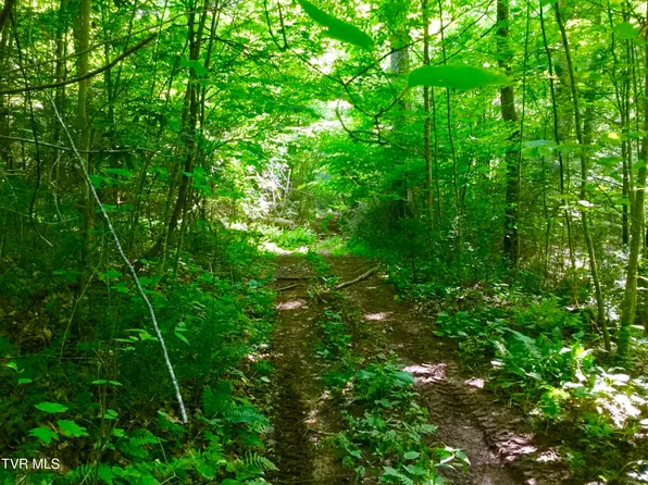 2283/AC Sciota Rd, Elizabethton, TN 37643