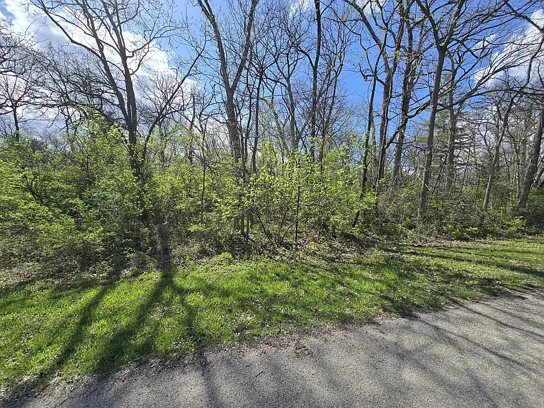 211 Maple Ln — Photo 5