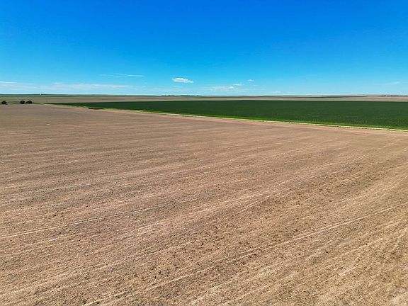 2nd image of Highway 59