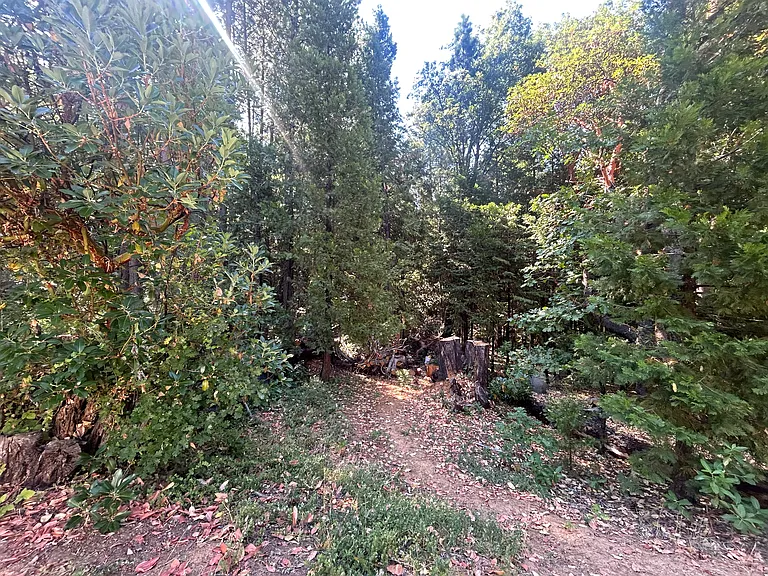 17347 Sunrise Rd — Photo 30