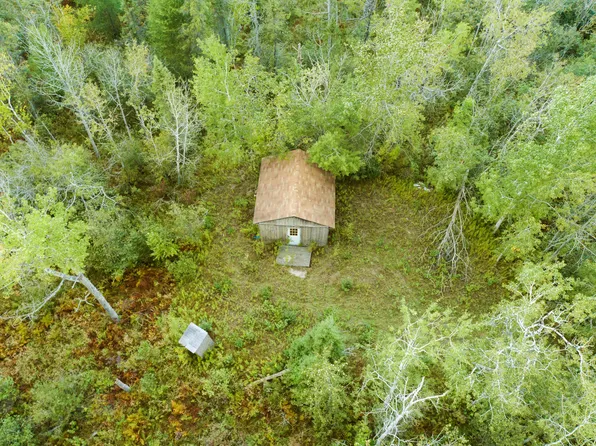 N Lafave Rd, Black River, MI 48721