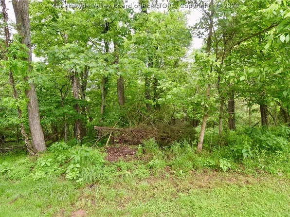 0 Silverton Rd, Ravenswood, WV 26164