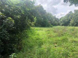 Sam Allen Rd, Plant city, FL 33565