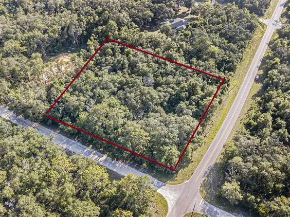 0 RICHARDSON BLVD, LOT 1 LOT 1, WEBSTER, FL 33597