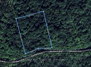 0 Northern Ave, Trent Lakes, ON K0M1A0