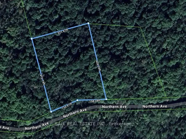 0 Northern Ave, Trent Lakes, ON K0M 1A0