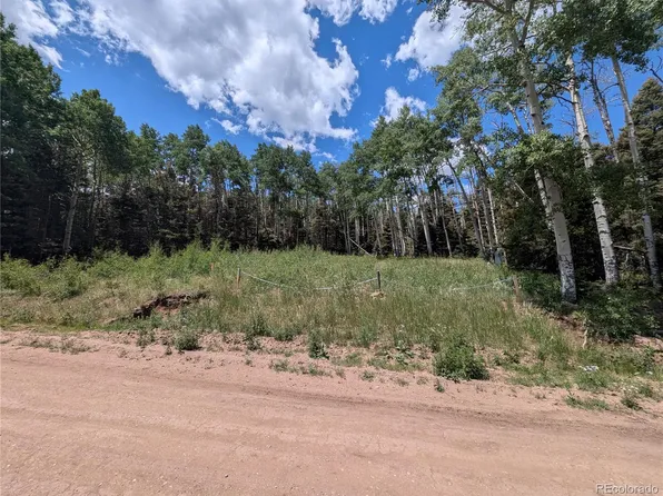 3070 Henderson Drive, Fort Garland, CO 81133