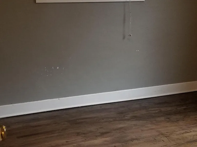 533 11th Ave E #1 — Photo 5