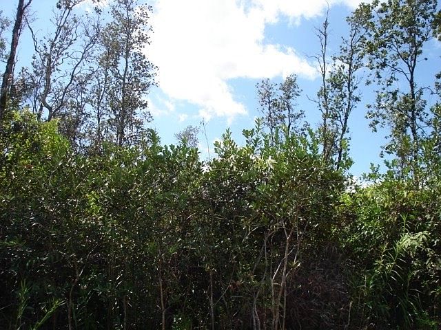 1st image of 37th Ave Lot 27