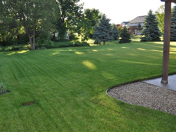 Backyard of property