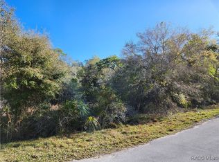 12163 W Balm Ct, Crystal River, FL 34428