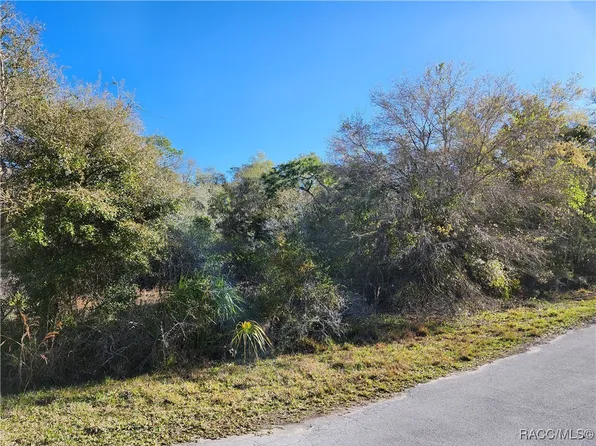 12163 W Balm Ct, Crystal River, FL 34428