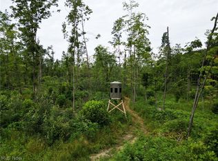 Gane Rd, Williamsfield, OH 44093