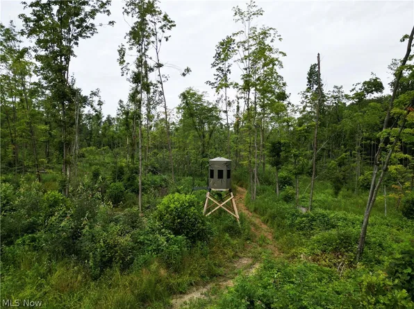 Gane Rd, Williamsfield, OH 44093