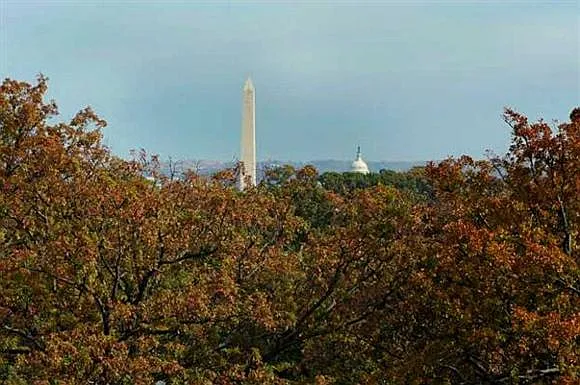 Amazing rooftop views of downtown DC