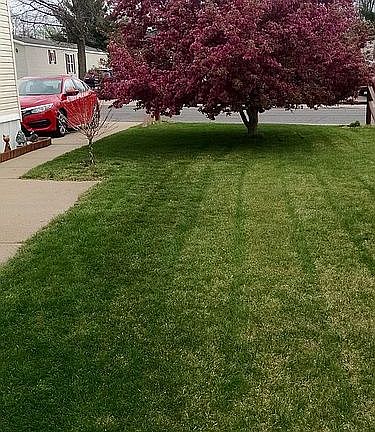 5th image of 137 Mowerson Dr