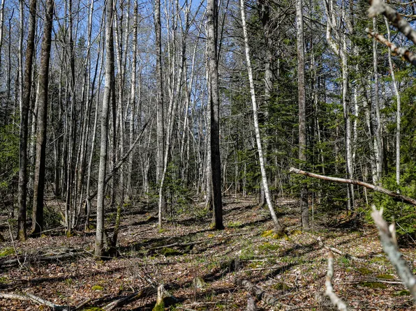 6A South Street, Blue Hill, ME 04614