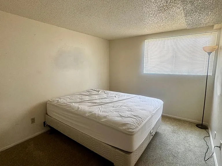 4945 Wandering Cir — Photo 17